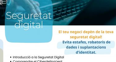 Taller sobre Seguretat Digital per a Empreses i Professionals a l’Epicentre de Tremp