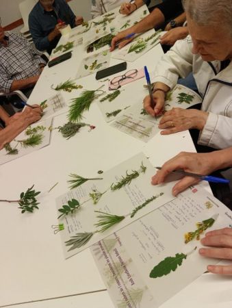 Aromes i sabors (2)