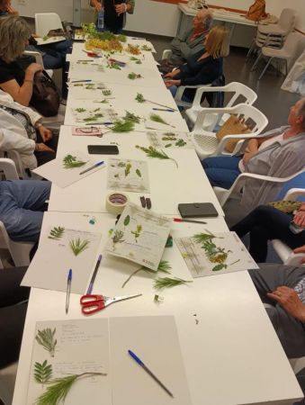 Aromes i sabors (3)