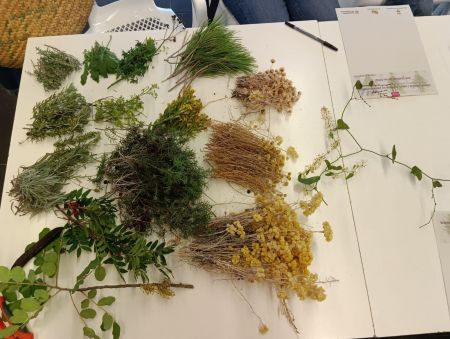 Aromes i sabors (6)