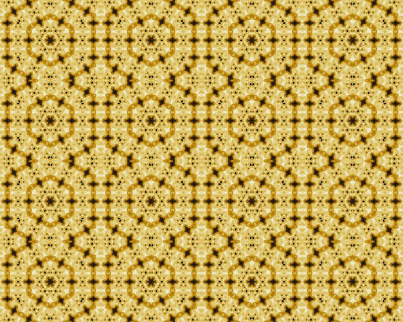 Clonalienaciones20